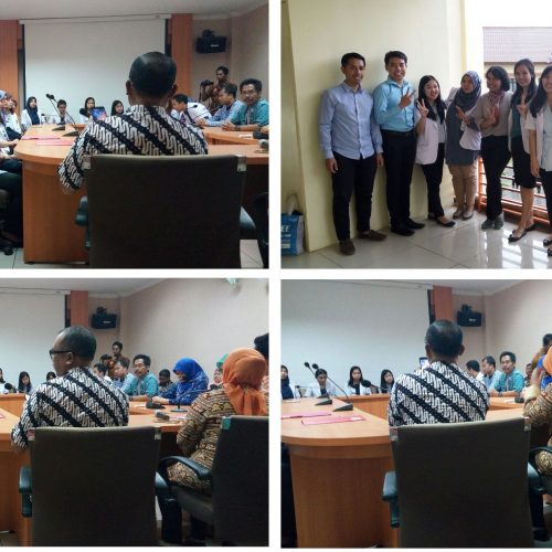 Program Interensip Dokter Indonesia